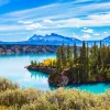 Discount Abraham Lake in Canada fotobehang Bloemen