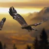 Best Adelaars in de Alpen fotobehang Dieren