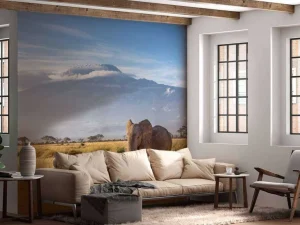 Sale Afrikaanse olifant in een grasland fotobehang Dieren