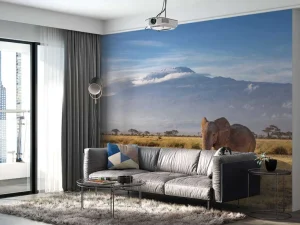 Sale Afrikaanse olifant in een grasland fotobehang Dieren