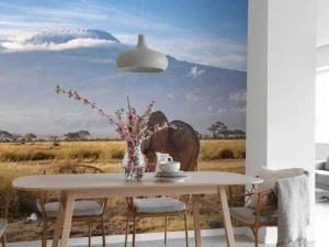 Sale Afrikaanse olifant in een grasland fotobehang Dieren