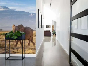 Sale Afrikaanse olifant in een grasland fotobehang Dieren