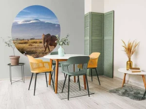 Sale Afrikaanse olifant in een grasland fotobehang Dieren