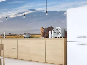 Sale Afrikaanse olifant in een grasland fotobehang Dieren