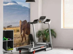 Sale Afrikaanse olifant in een grasland fotobehang Dieren