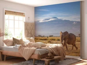 Sale Afrikaanse olifant in een grasland fotobehang Dieren
