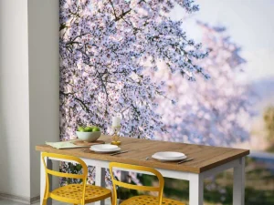 New Amandelboom fotobehang Bloemen