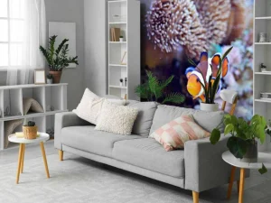 Clearance Anemoonvis in een koraalrif fotobehang Dieren