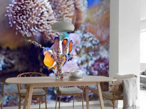 Clearance Anemoonvis in een koraalrif fotobehang Dieren