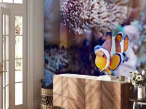 Clearance Anemoonvis in een koraalrif fotobehang Dieren