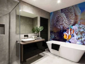 Clearance Anemoonvis in een koraalrif fotobehang Dieren