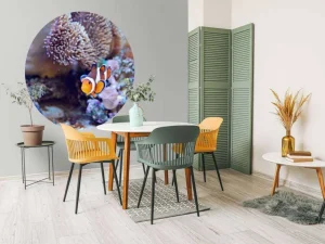 Clearance Anemoonvis in een koraalrif fotobehang Dieren