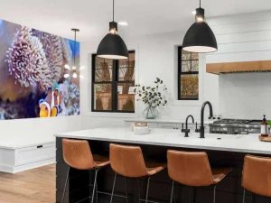 Clearance Anemoonvis in een koraalrif fotobehang Dieren