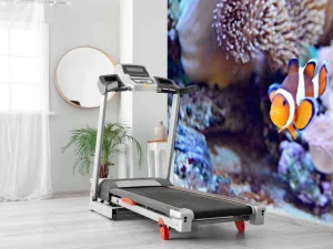 Clearance Anemoonvis in een koraalrif fotobehang Dieren