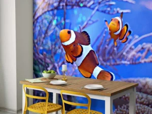 Clearance Anemoonvissen in een groot aquarium fotobehang Dieren