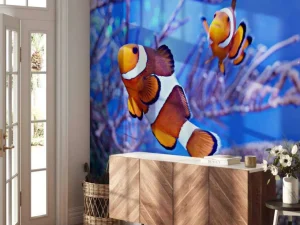 Clearance Anemoonvissen in een groot aquarium fotobehang Dieren