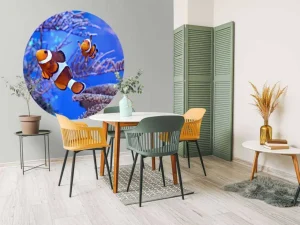 Clearance Anemoonvissen in een groot aquarium fotobehang Dieren