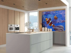 Clearance Anemoonvissen in een groot aquarium fotobehang Dieren