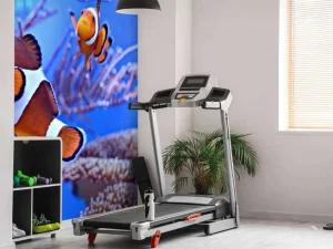 Clearance Anemoonvissen in een groot aquarium fotobehang Dieren