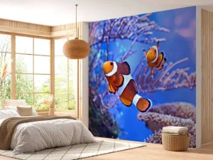 Clearance Anemoonvissen in een groot aquarium fotobehang Dieren