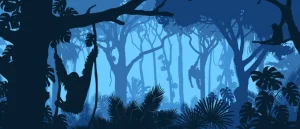 Online Apen in de jungle Kinderkamer | Dieren