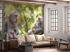 Discount Apenfamilie in Bali fotobehang Dieren