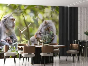 Discount Apenfamilie in Bali fotobehang Dieren