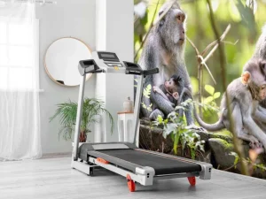 Discount Apenfamilie in Bali fotobehang Dieren