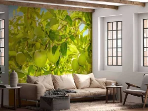 Clearance Appelboom close-up fotobehang Bloemen