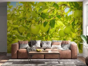 Clearance Appelboom close-up fotobehang Bloemen