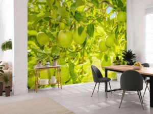 Clearance Appelboom close-up fotobehang Bloemen