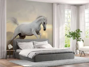 Sale Arabische Hengst in het stof fotobehang Tienerkamer | Kinderkamer