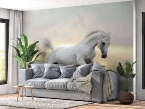 Sale Arabische Hengst in het stof fotobehang Tienerkamer | Kinderkamer