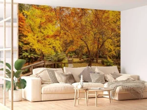 Online Australisch parkje in de herfst fotobehang Bloemen