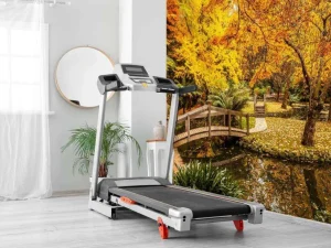 Online Australisch parkje in de herfst fotobehang Bloemen