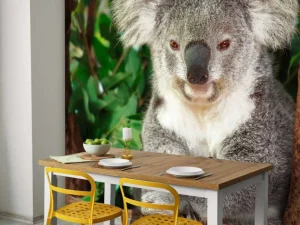 Clearance Australische koala in een boom fotobehang Dieren