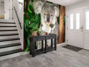 Clearance Australische koala in een boom fotobehang Dieren