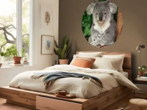 Clearance Australische koala in een boom fotobehang Dieren