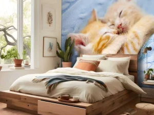 Discount Baby katjes slapen knuffelend fotobehang Kinderkamer | Dieren