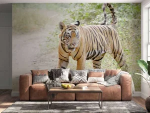 Outlet Bengaalse Tijger lopend in woud fotobehang Dieren