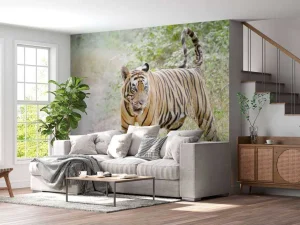 Outlet Bengaalse Tijger lopend in woud fotobehang Dieren