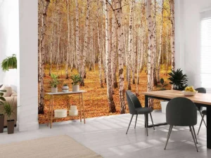 Best Berkenbomen in de Herfst fotobehang Bloemen