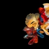 Fashion Betta vissen met een zwarte achtergrond fotobehang Dieren