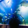 Outlet Bijzondere onderwater tunnel fotobehang 3d