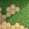 Clearance Bijzondere tuinwand fotobehang Bloemen | Architectuur