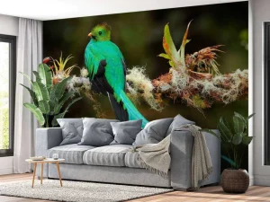 Discount Blauwe Quetzal in Sri Lanka fotobehang Dieren