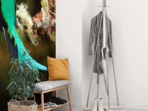 Discount Blauwe Quetzal in Sri Lanka fotobehang Dieren