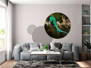 Discount Blauwe Quetzal in Sri Lanka fotobehang Dieren
