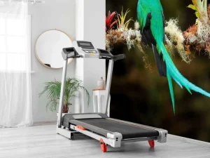 Discount Blauwe Quetzal in Sri Lanka fotobehang Dieren