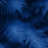 Hot Blauwe varenbladeren fotobehang Bloemen